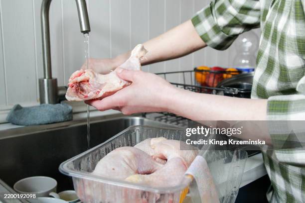 Chicken Rinse 273 Rinsing Chicken Stock Photos, High-Res Pictures, and Images - Getty ...