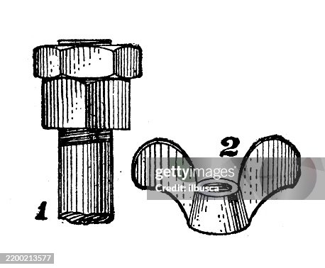 Check nut, Square nut, Thumb nut Check nut, Square nut, Thumb nut