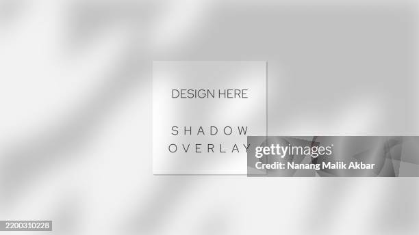 tree and leaf shadow overlay design template. shadow overlay effect mockup for design template. - dappled light background stock illustrations