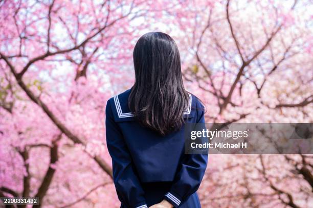 high school girl standing under cherry blossoms with her back facing the camera - azul marinho imagens e fotografias de stock