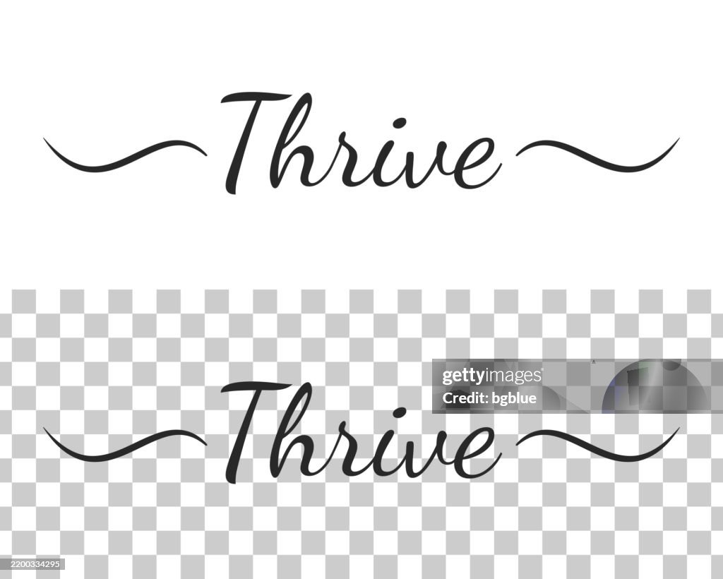 Thrive Text Thrive Calligraphy Text With Swashes On Blank Background High-Res ...