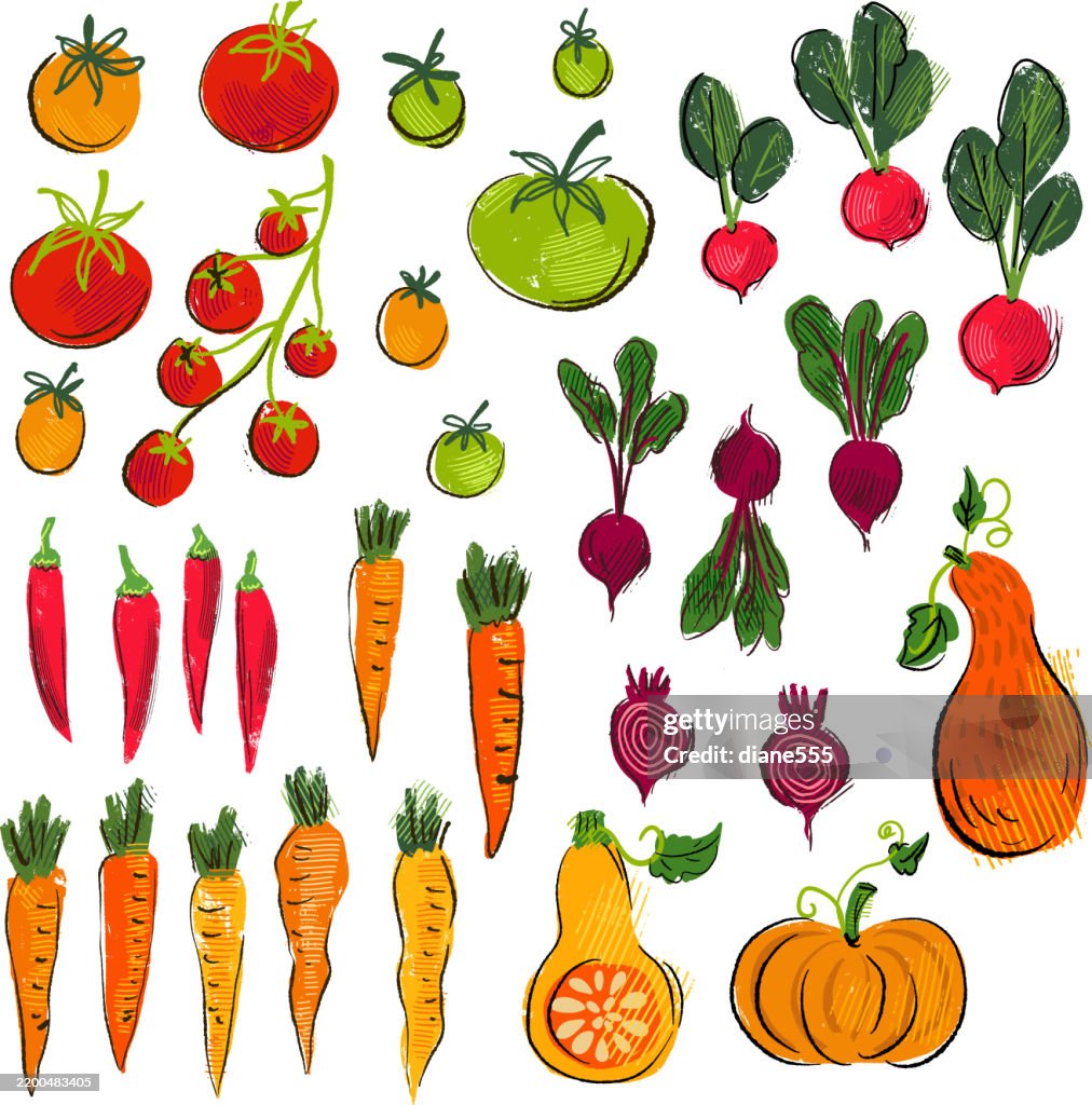 Retro Style Fresh Vegetables Set