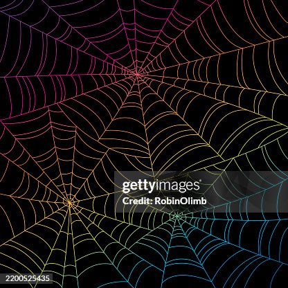 Colorful Spider Web Background Colorful Spider Web Background