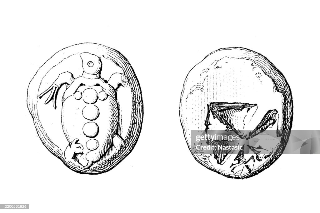 Greek Silver Stater of Aegina Coin (6th Century BC)