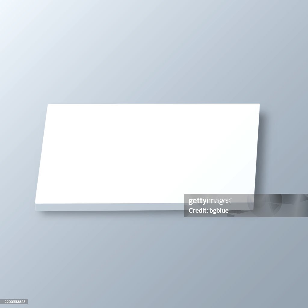 Lauderdale County, Mississippi. 3D Map on gray background