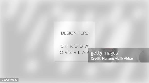 tree and leaf shadow overlay design template. shadow overlay effect mockup for design template. - dappled light background stock illustrations