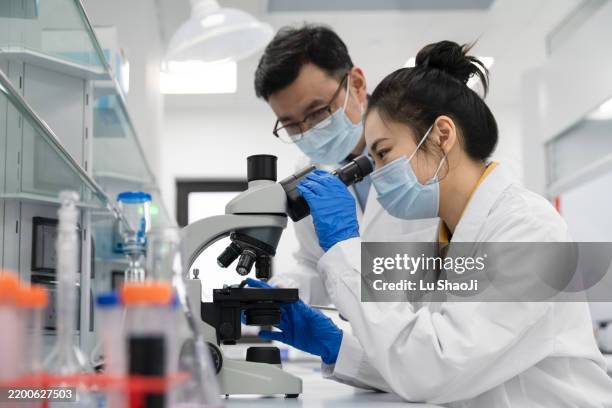 asian scientists use microscopes to analyze experimental samples in the laboratory. - medical sample stock pictures, royalty-free photos & images