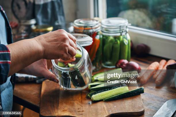 alimentos fermentados - preparación de pepinos fermentados con especias - pepinillo fotografías e imágenes de stock