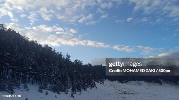 Ifrane Spring 22 Ifrane Province Stock Photos, High-Res Pictures, and Images - Getty ...