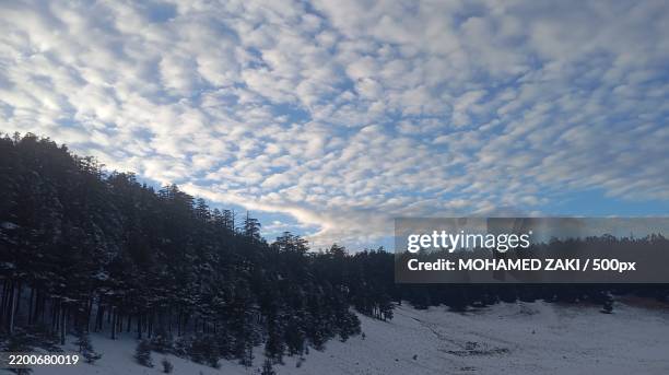 Ifrane Spring 22 Ifrane Province Stock Photos, High-Res Pictures, and Images - Getty ...