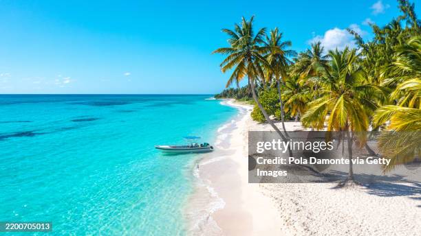 view of paradise: saona island's serene coastline - dominicaanse republiek stockfoto's en -beelden
