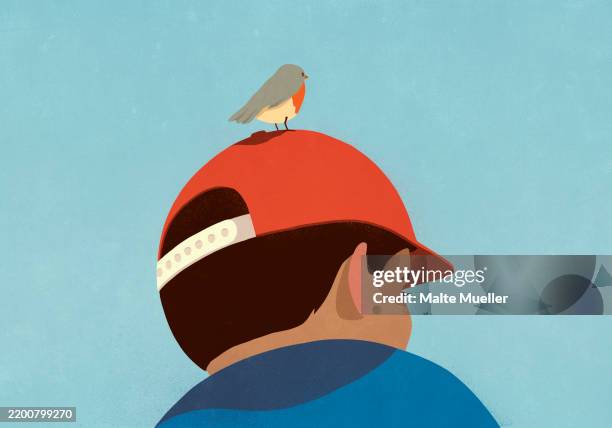 low angle view small bird perched on red baseball cap on boy's head - curiosity illustration stock illustrations