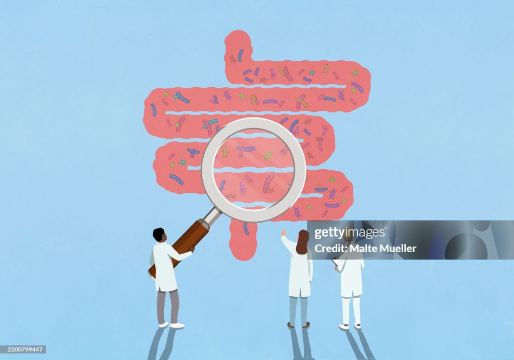 Scientists with magnifying glass examining bacteria in intestines