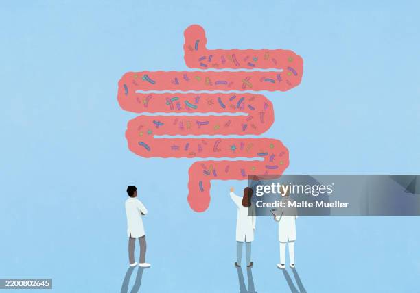 bildbanksillustrationer, clip art samt tecknat material och ikoner med scientists examining various bacteria in large pink intestines - människans matsmältningsorgan