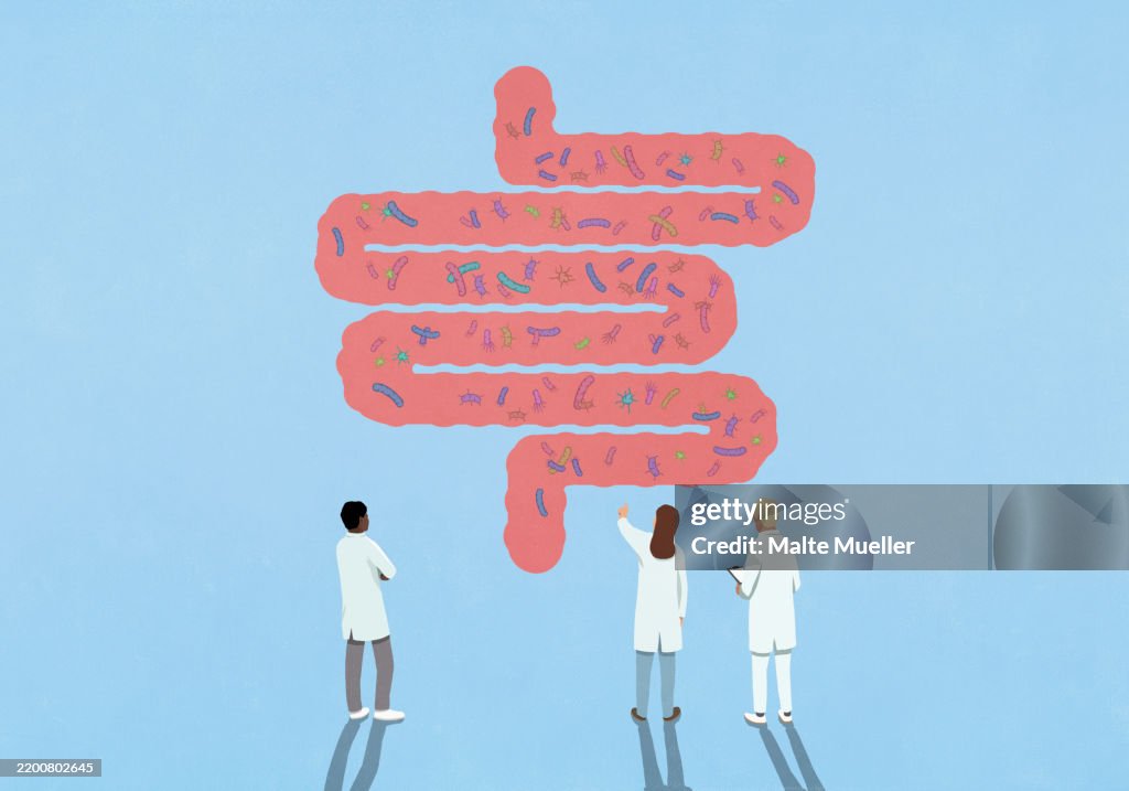 Scientists examining various bacteria in large pink intestines