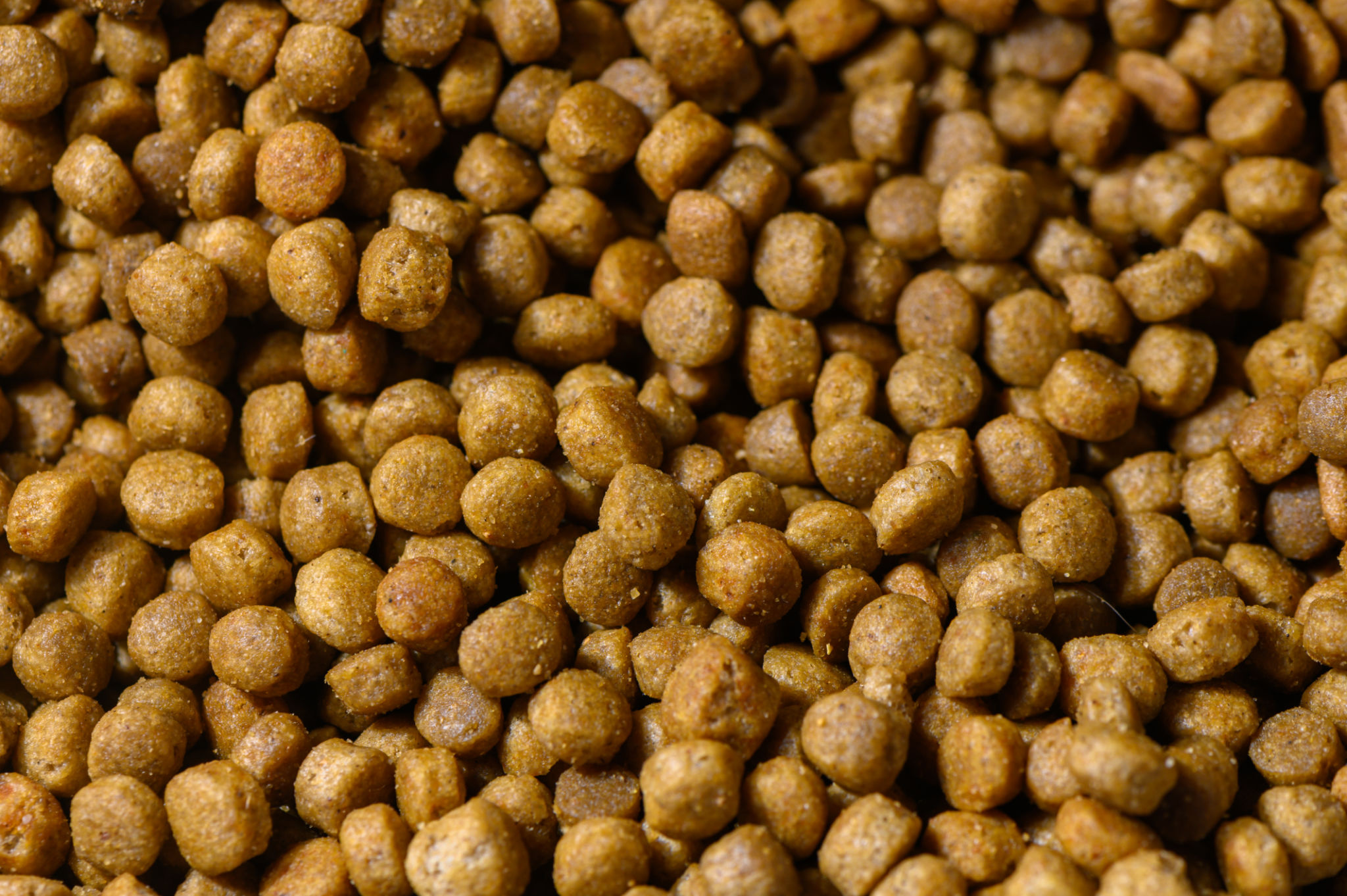 premium pet food