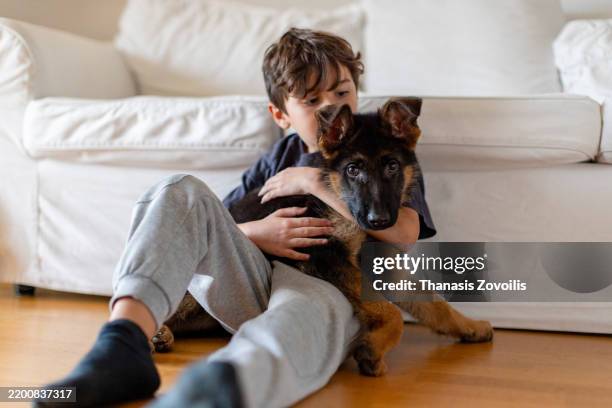 playing puppy and kids in a cozy living room setting - german shepherd stock pictures, royalty-free photos & images