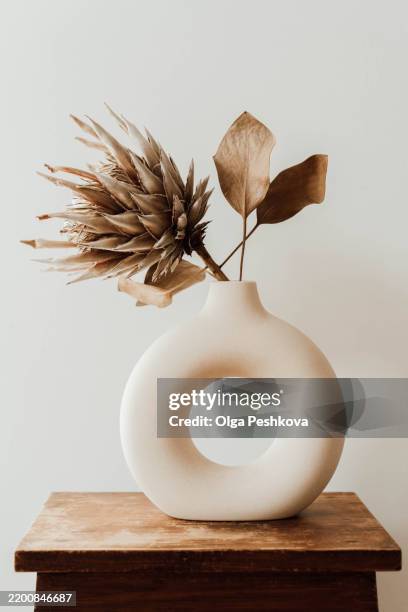 a modern minimalist composition round ceramic vase with dried flower protea - vase stock pictures, royalty-free photos & images