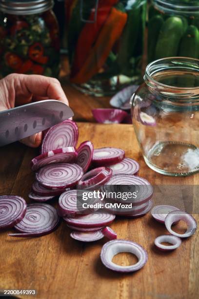 fermented foods - preparing fermented red onions - spanish onion stock pictures, royalty-free photos & images