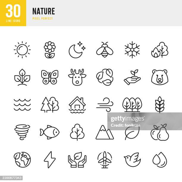 stockillustraties, clipart, cartoons en iconen met nature - thin line vector icon set. 30 icons. pixel perfect. the set includes a flower, animals, sun, moon, hurricane, planet earth, butterfly, deer, bear, fish, bird, wind, water, mountain, pine tree. - insect