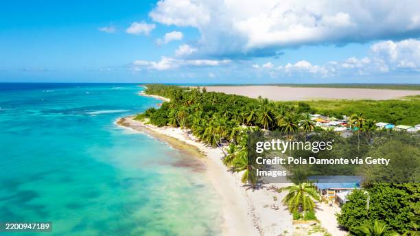 aerial paradise: saona island's serene coastline unique view - punta cana stock pictures, royalty-free photos & images