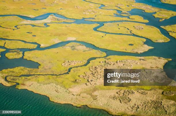 expansive aerial view of saltmarsh and tidal creeks at cape lookout national seashore during bright daylight - salt marsh stock pictures, royalty-free photos & images