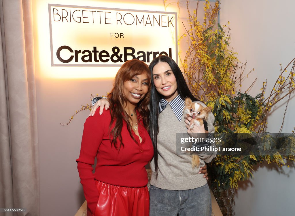 Crate & Barrel X Brigette Romanek Launch Event