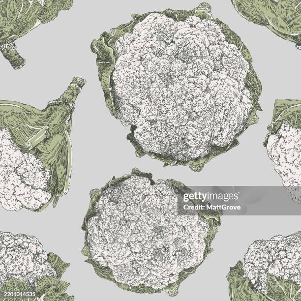 cauliflower repeat pattern - cooked broccoli stock illustrations