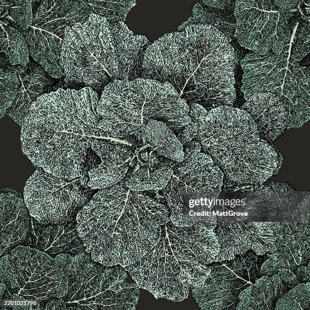 cabbage vegetable repeat pattern - cooked broccoli stock illustrations