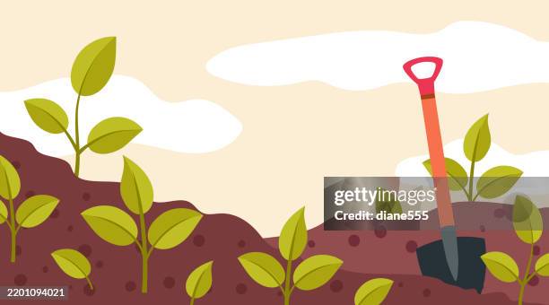 a shovel and plants in a spring garden - gardening stock illustrations