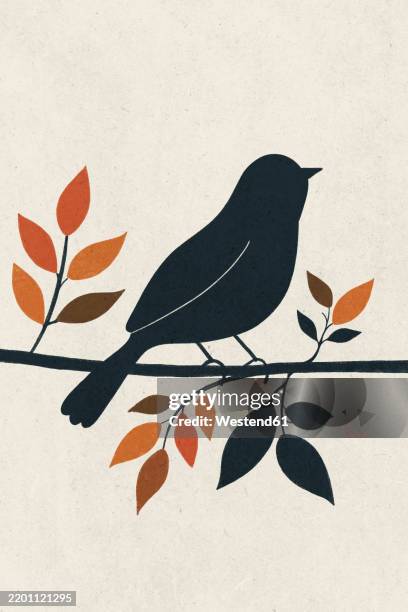minimalist illustration of a blackbird perched on a branch with colorful autumn leaves - bird flying clipart stock illustrations