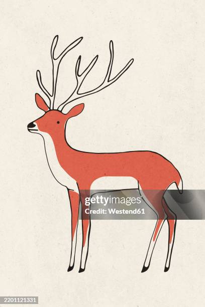 minimalist illustration featuring a deer standing with its antlers on a white background - deer stock illustrations