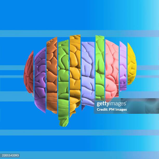 compartmentalization - brain bar graph - schizofrenie stockfoto's en -beelden