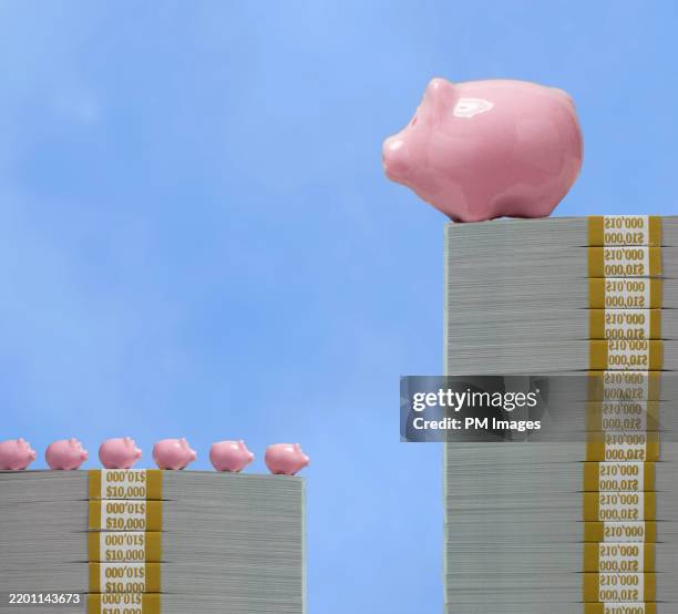 wealth disparity concept - large piggy bank over small piggy banks - welvaart stockfoto's en -beelden