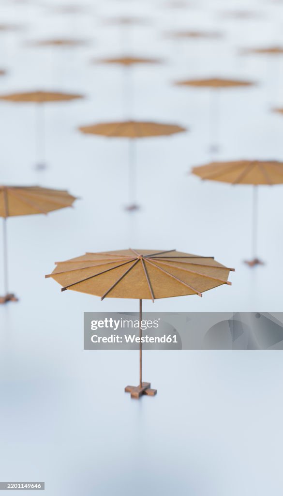 3D rendering of parasol patterns with nobody present