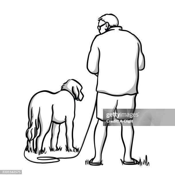 dogdaysketchillustration - dog walking stock illustrations