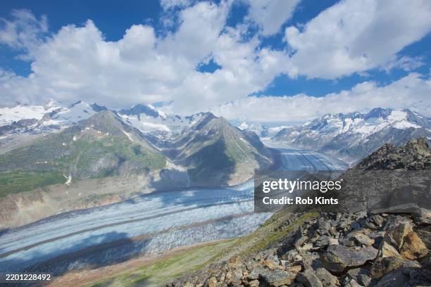 aletsch glacier seen from the top of the bettmerhorn in wallis switzerland - aletsch glacier stock pictures, royalty-free photos & images