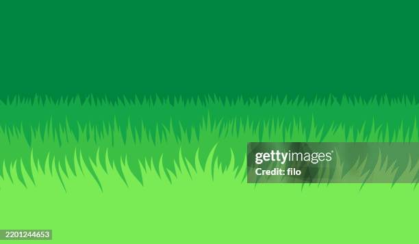 bildbanksillustrationer, clip art samt tecknat material och ikoner med growing grass long edge border background - gräs