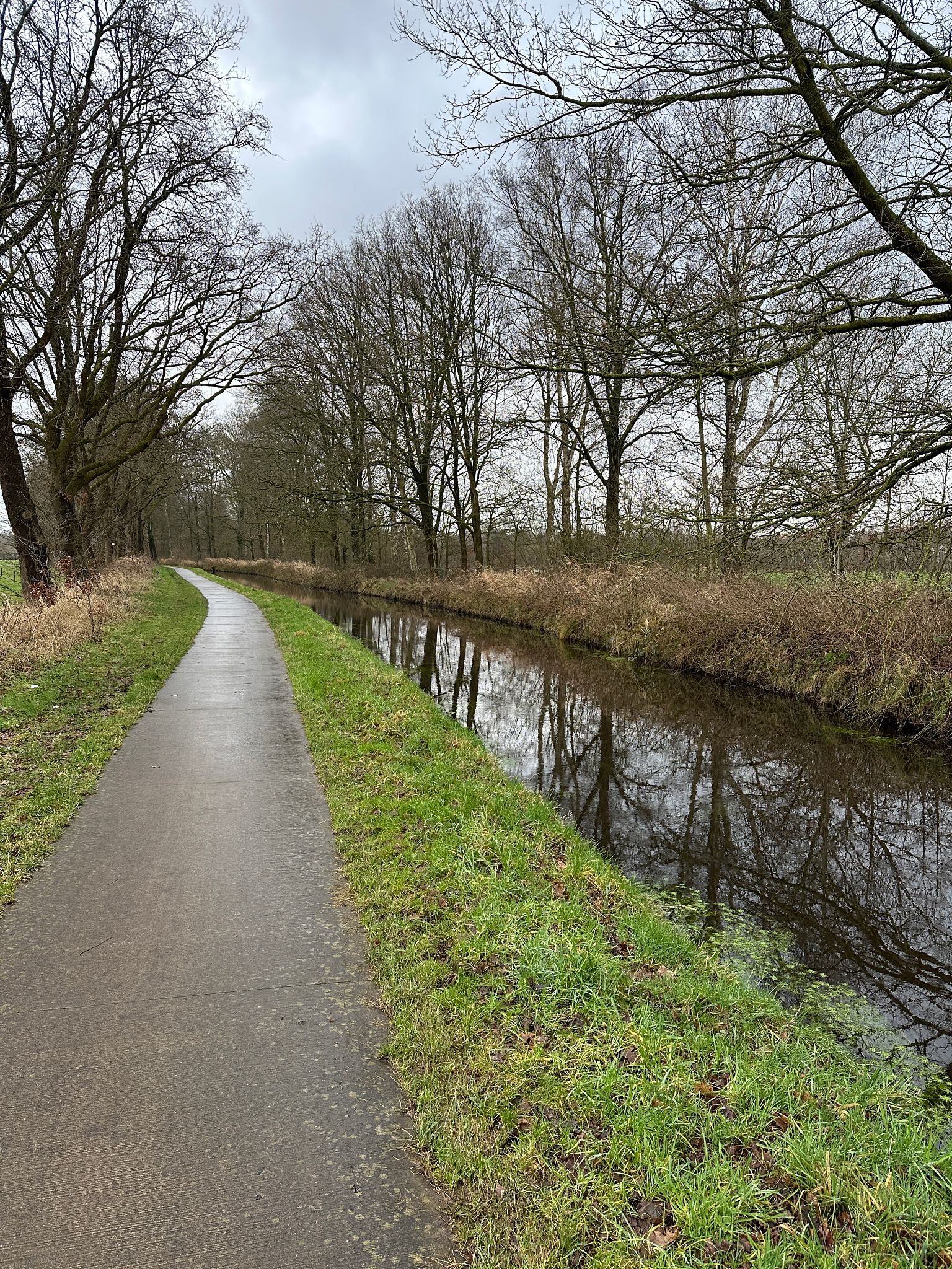 bike lanes munster