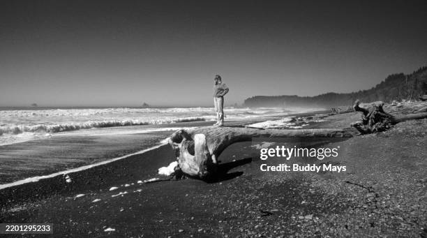 Hiker stands atop a waterlogged cypress tree on Rialto Beach and watches the surf roll onto a black sand beach, on the Pacific Ocean in Olympic...