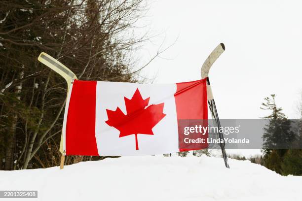 drapeau canadien - crosse de hockey photos et images de collection