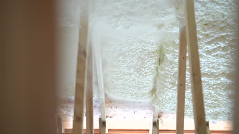 https://media.gettyimages.com/id/2201379687/video/construction-worker-spraying-house-insulation.jpg?b=1&s=640x640&k=20&c=TgulEbIbjVYYAQrAVB9Cc6mIUcLrG1cCSRisThbuKtE=