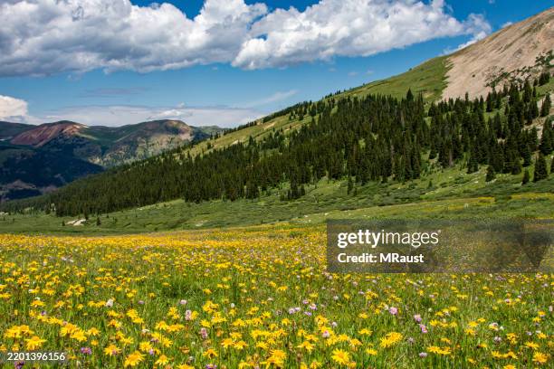 Springtime In Colorado 30,253 Colorado Spring Stock Photos, High-Res Pictures, and Images ...