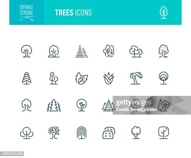 stockillustraties, clipart, cartoons en iconen met trees icons editable stroke - bomenrij