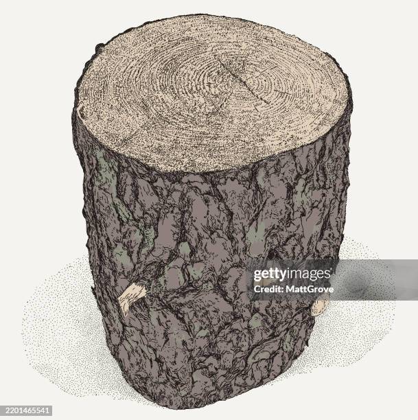 log tree stump cut pine log - tree stump stock illustrations