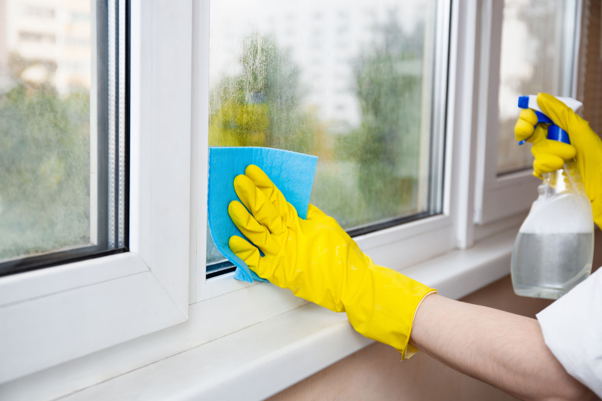 window cleaning tips