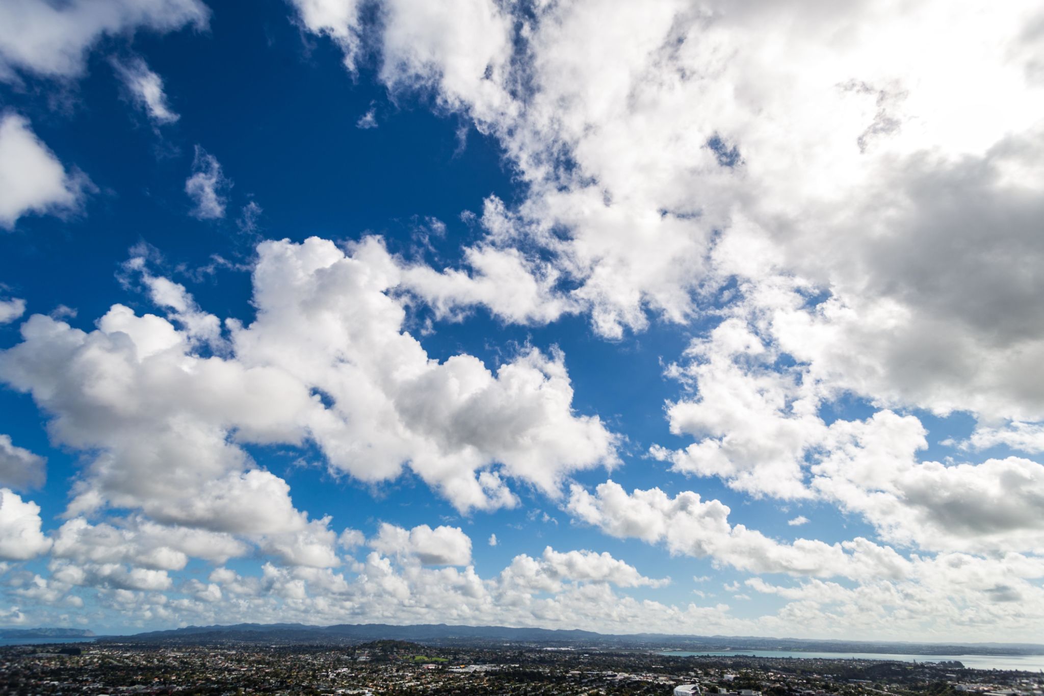 auckland weather