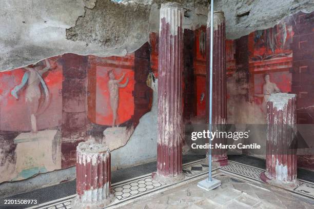 Partial view of the new fresco discovered in the excavations of Pompeii in Regio IX, dedicated to Dionysius.