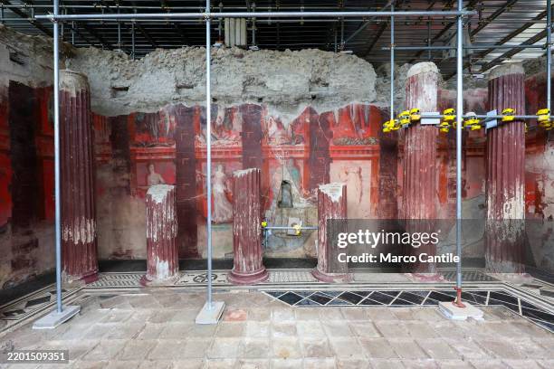 View of the new fresco discovered in the excavations of Pompeii in Regio IX, dedicated to Dionysius.
