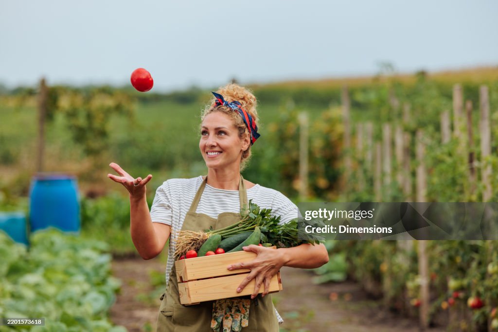 Female farmer tossing tomato in the air while carrying a crate of vegetables